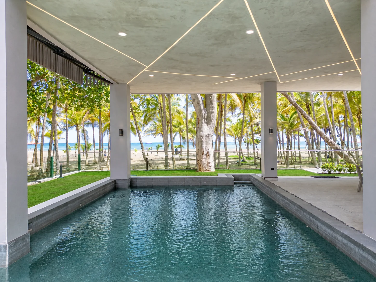 Pool looking out through the palm grove to the ocean